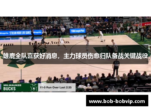 雄鹿全队喜获好消息，主力球员伤愈归队备战关键战役